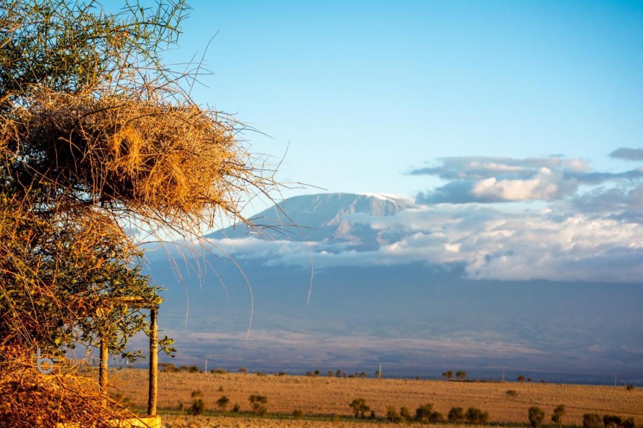 דירות Amboseli Redhouse מראה חיצוני תמונה